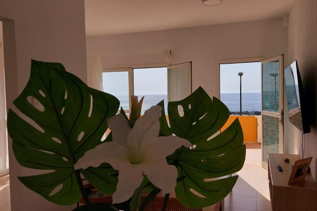 Appartement La Marea Baja à Puertito de Guimar Extérieur photo